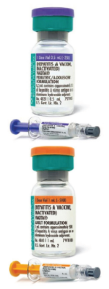 Figure 2. Despite color differences, mix-ups between hepatitis A formulations (pediatric/adolescent, top; adult, bottom) are among the most common age-related vaccine errors reported to ISMP.